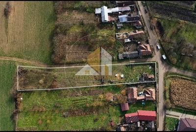 Teren intravilan de vanzare - Dipsa - 4