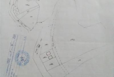 Teren de 5500 mp, în Pietroasa - 3