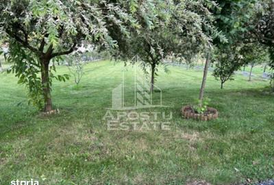 Casă cu 1 camere cu Teren 31300 Mp în Central - 5