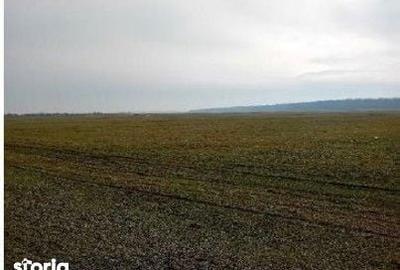 Teren de 635 mp, în Hârsești - 3