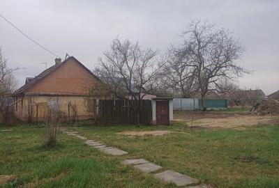 Casă cu 3 camere în Central - 1