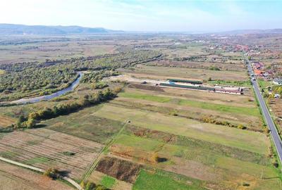 Teren Construcții intravilan de 38054 mp, în Groși - 3