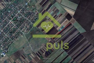 ? Teren extravilan la Pesac de 8.000 mp (1,4 euro/mp)? ? Teren extravilan la Pesac de 8.000 mp (1,4 euro/mp)? - 3