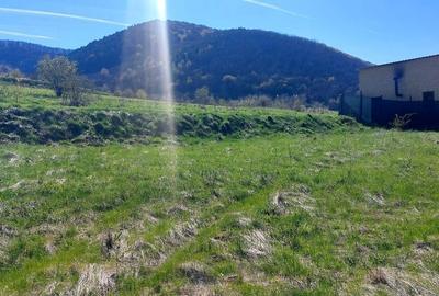 Spațiu comercial, în Poplaca - 2