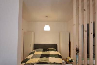 Apartament cu 2 camere, mobilat în Tilișca - 4