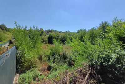 Resita, Teren Intravilan 5615 Mp., 25 Euro/Mp., Calea Carans - 3