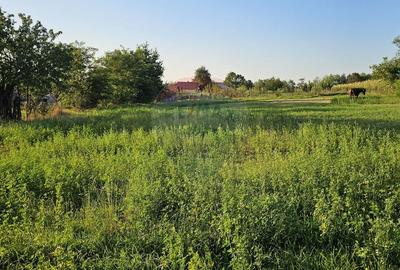 Teren intravilan 1,733mp Mitocasi, Suceava - 23