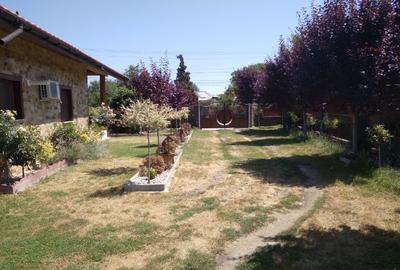 Proprietatea deosebita la 12 km de Ramnicu Valcea, în Mihaesti - 3