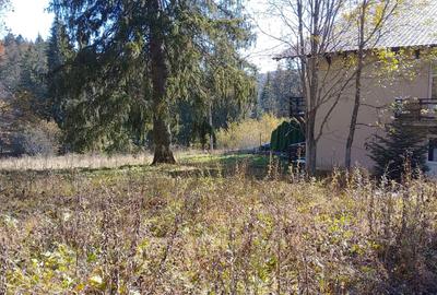 Alfa Invest Vinde Teren intravilan in Predeal - 2