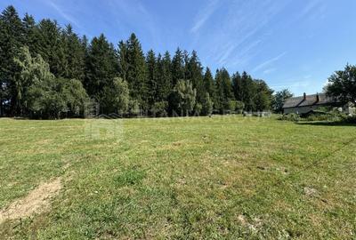 Platou montan, 6631 mp intravilan, electricitate,  langa pădure - 4