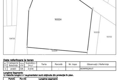 Teren intravilan de 3000 mp cu utiltati si PUZ in Paltinis Judet Sibiu - 7
