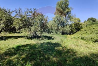 Teren Construcții intravilan de 3718 mp, în Remetea Chioarului - 4