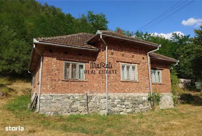 Casă cu 4 camere cu Teren 9563 Mp în Ribița - 2