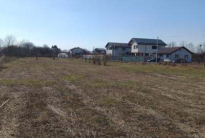 Teren Construcții intravilan de 6400 mp, în Joița - 2