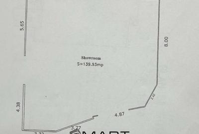 Spatiu comercial  zona Turnisor - 2