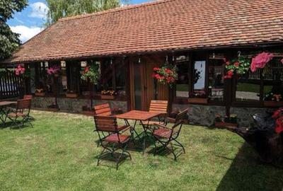 CASA\VILA DE VANZARE \COM. OBREJA\SAT IAZ\CARA?-SEVERIN - 29