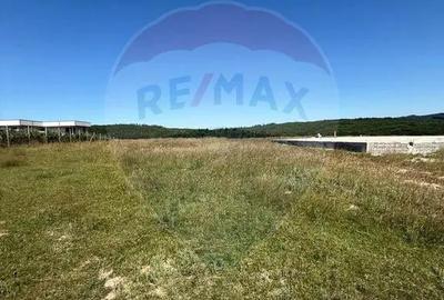 Teren de 3322 mp, în Paltin - 2