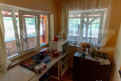 Casă cu 3 camere cu Teren 4000 Mp în Rovina (Brănișca) - 7