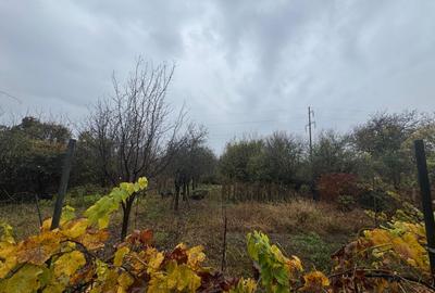 Casă individuală cu 5 camere cu Canalizare în Freidorf - 22