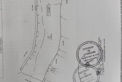 Teren de vanzare 30.000 mp oportunitate investitie - 3