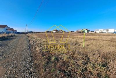 4 parcele de 701-756mp, casa individuala | Utilitati | Dumbravita - 2