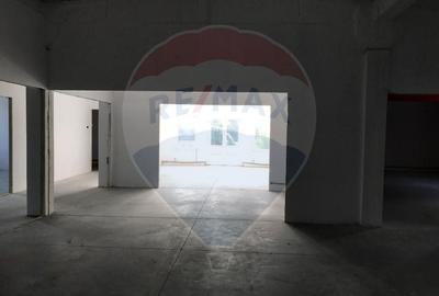 Spațiu industrial, de 500 mp, în Vest - 4