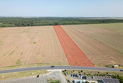 Teren Vanzare Intravilan Branesti investitie Zona Industrial - 3