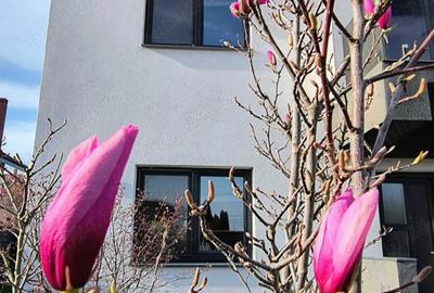 Casă cu 5 camere cu Teren 333 Mp în Central - 5