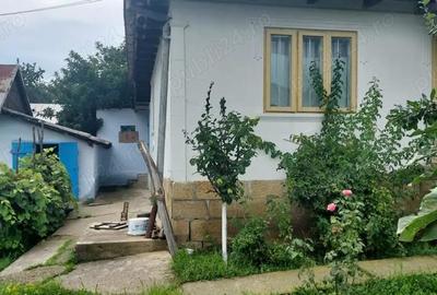 Casă cu 4 camere cu Teren 400 Mp în Tansa - 9