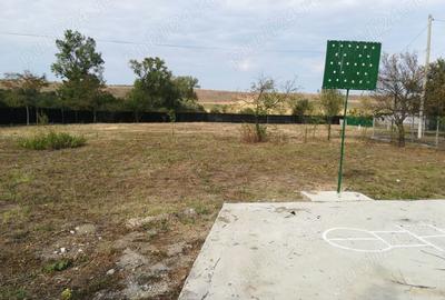 Casă cu 4 camere în Bârca - 6