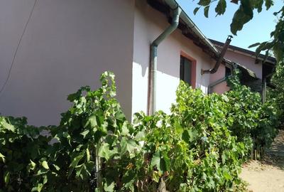 Casă individuală cu 5 camere cu Teren 650 Mp în Bariera Vâlcii - 2