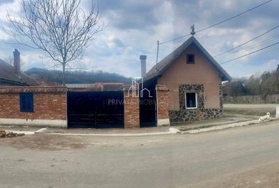 Casă individuală cu 2 camere cu Canalizare în Mihai Viteazu - 2