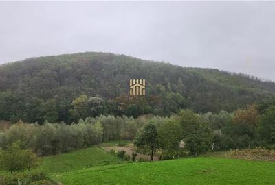 Casă cu 8 camere cu Teren 147 Mp în Pătrăuți - 13