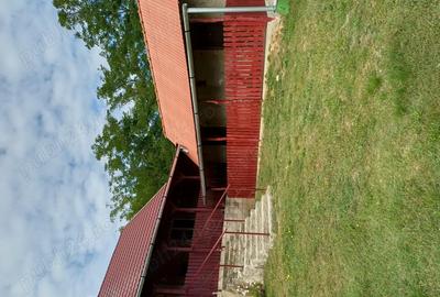 Ferma de vaci de vanzare - 4