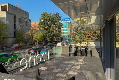 Spațiu comercial, de 130 mp, în Herăstrău - 1