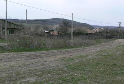 Teren Construcții intravilan de 6170 mp, în Negrești - 2