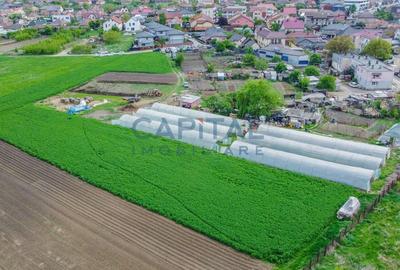 Teren de vanzare in Apahida - 6