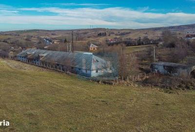 Teren de 7400 mp, în Căpușu Mare - 6