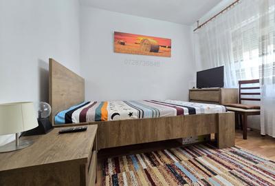 Apartament cu 3 camere decomandat, mobilat în Giurgiului - 6