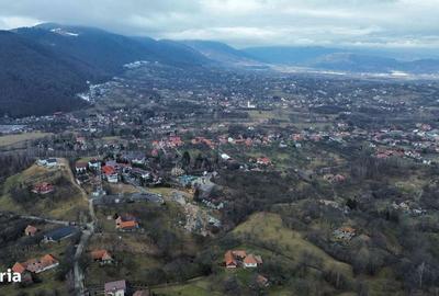 Spațiu comercial, în Bran