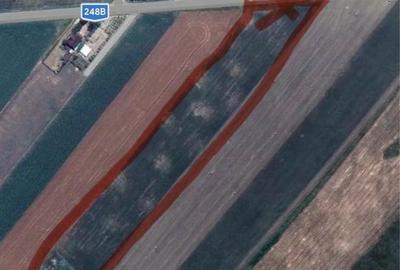 Teren de 15994 mp, în Horlești - 3