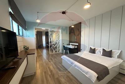 Apartamente de lux 1 camera tip studio cu parcare privata - 9