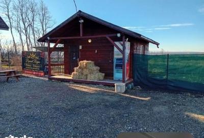 Teren de 5000 mp, în Filipești - 2