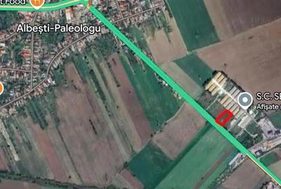 Teren de 2000 mp, în Albești-Paleologu - 3