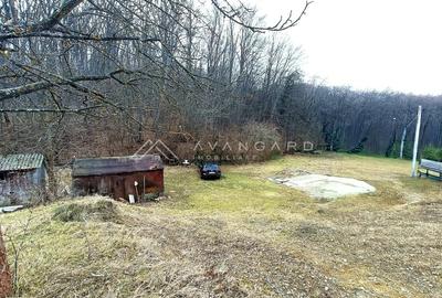 Teren construibil 1195 mp, Faget (incadrare urbanistica LID) - 1