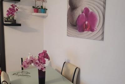 Apartament cu 2 camere semidecomandat în Drumul Taberei - 12