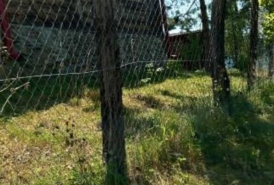 Casă locuibilă + teren 8900 mp, utilități, anexă, livadă-toate actele. - 16