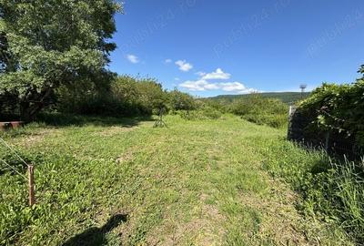 Teren de 2170 mp, în Olteni - 5