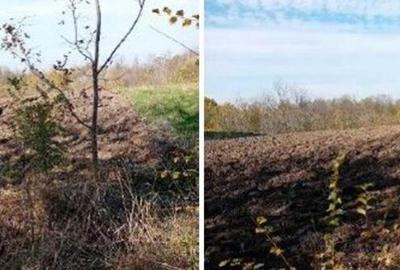 Teren Ungheni, ID: R2832820 - 7