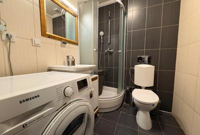 Apartament cu 3 camere decomandat, mobilat în Iancu Nicolae - 22